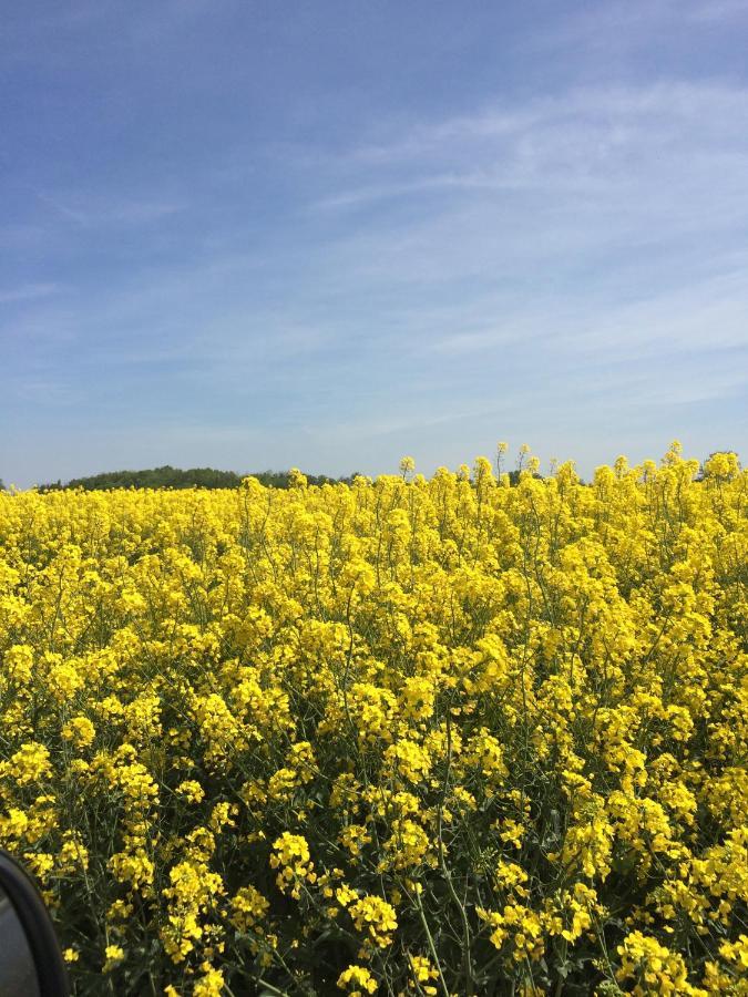 Ostseeperle Gromitz Bagian luar foto